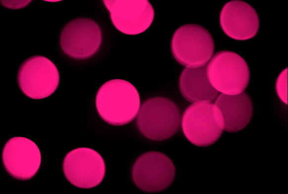 paquete de photoshop con superposición de bokeh